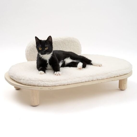 Modern Sofa