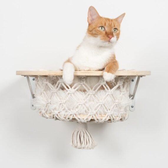 Modern Wall Basket for Cats