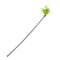 Green Feather Wand for Cats