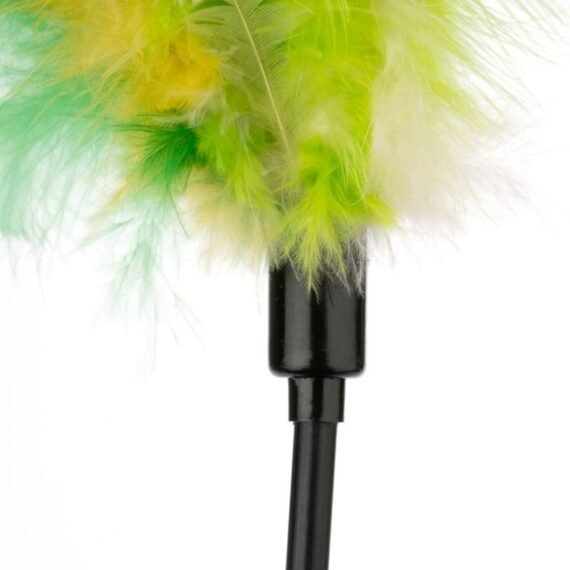 Green Feather Wand for Cats