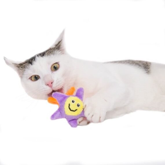 Jumping Stars Balls for Cats