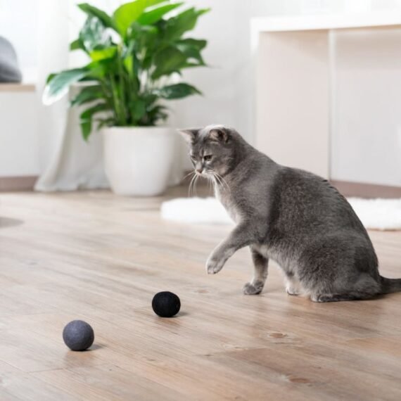 Wool balls for cats